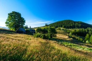 Montaż klimatyzacji w garażu i warsztacie w Pruszkowie — praktyczne porady